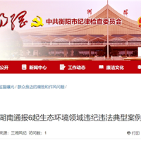 超時、超量、越界采砂！湖南通報6起生態環境領域違紀違法典型案例 2起與砂石有關！